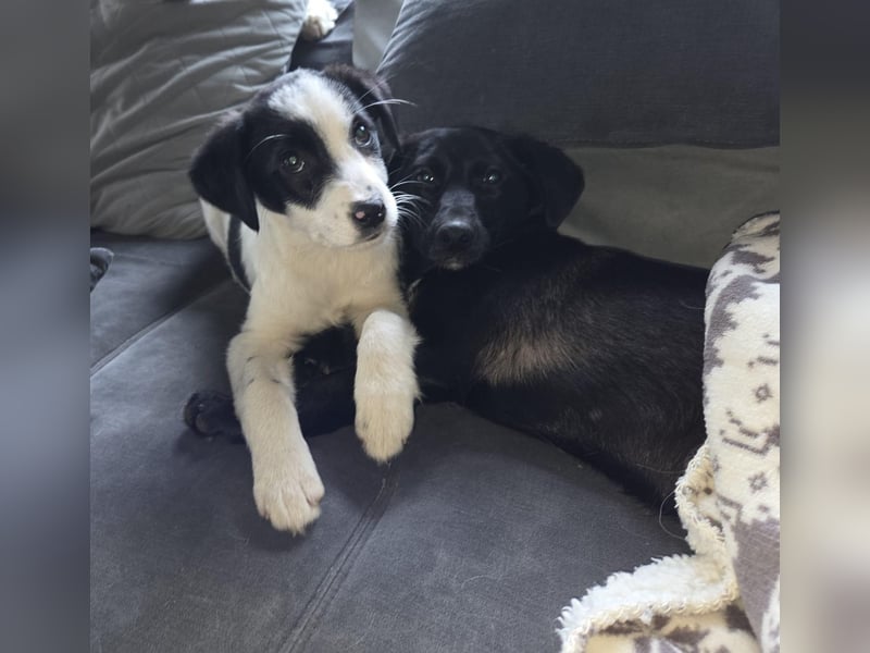 Isra sucht Familien-Anschluss