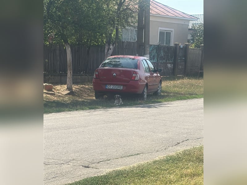 Cosy hatte kein einfaches Leben