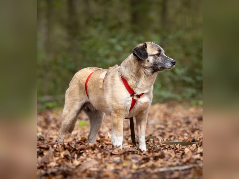 Cosy hatte kein einfaches Leben