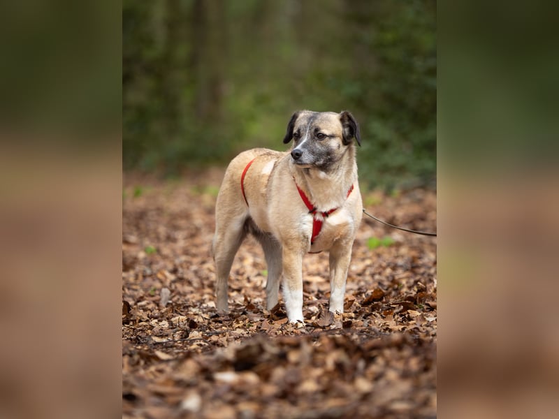 Cosy hatte kein einfaches Leben