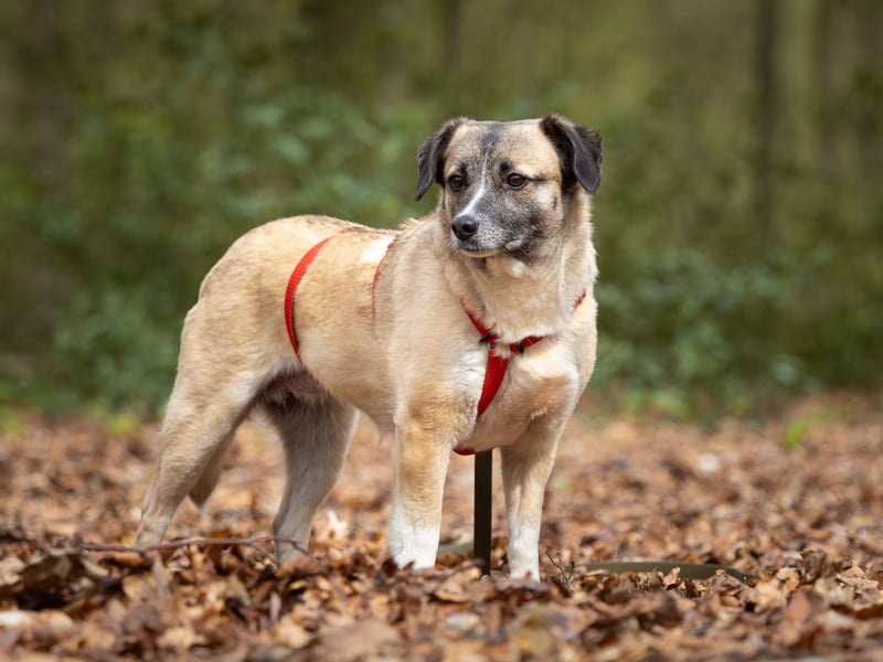 Cosy hatte kein einfaches Leben