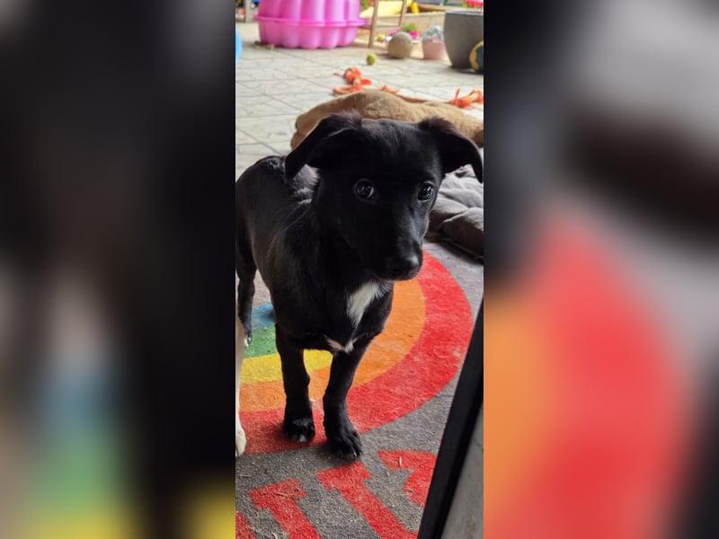 Isra sucht Familien-Anschluss