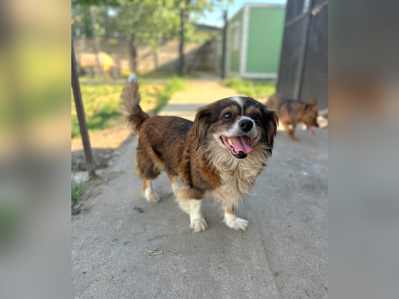Seniorin Norica ist ein echter Schatz