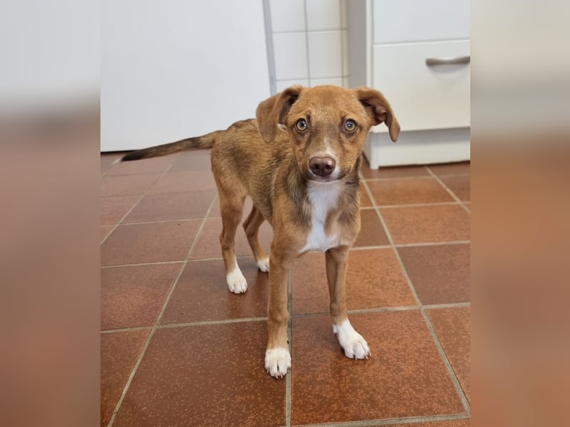 Terry, lieber Kerl sucht Familie