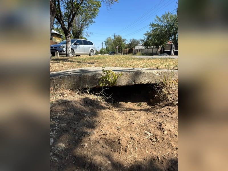 Cosy hatte kein einfaches Leben