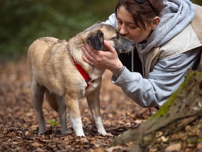 Cosy hatte kein einfaches Leben