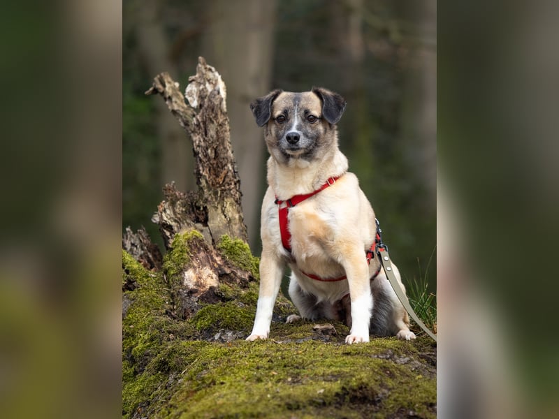 Cosy hatte kein einfaches Leben