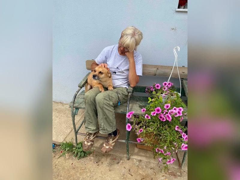 Mara sucht ein Für-immer-Zuhause