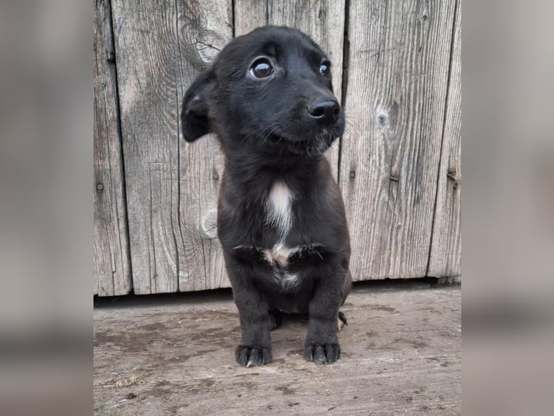 Isra sucht Familien-Anschluss