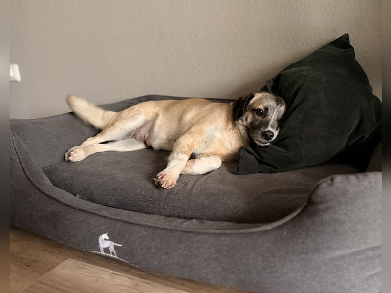 Cosy hatte kein einfaches Leben