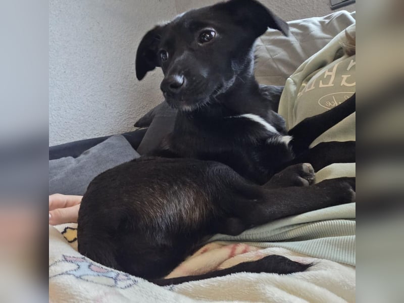 Isra sucht Familien-Anschluss