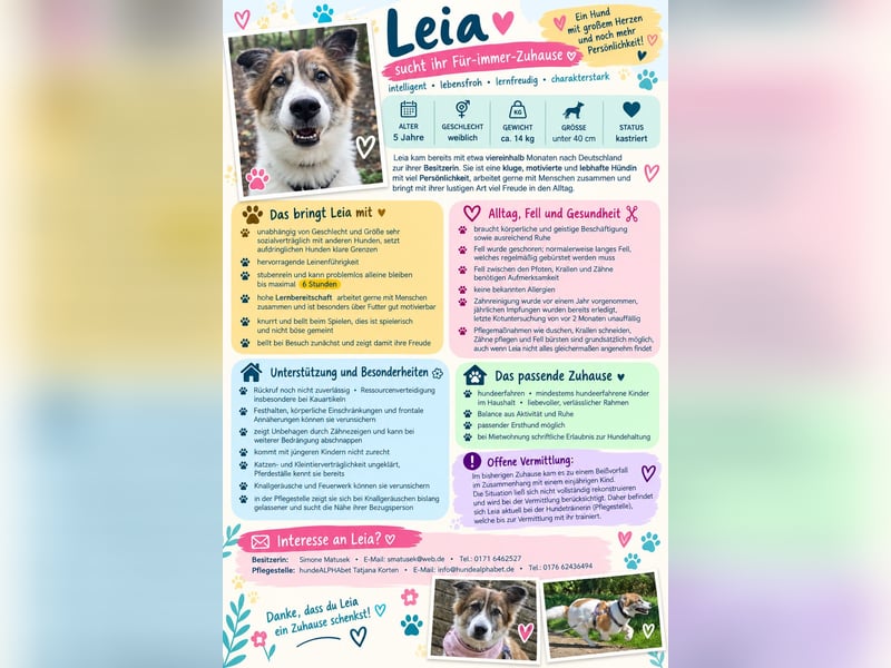 Leia 13,5 kg Persönlichkeit sucht Ihr Für-Immer Zuhause