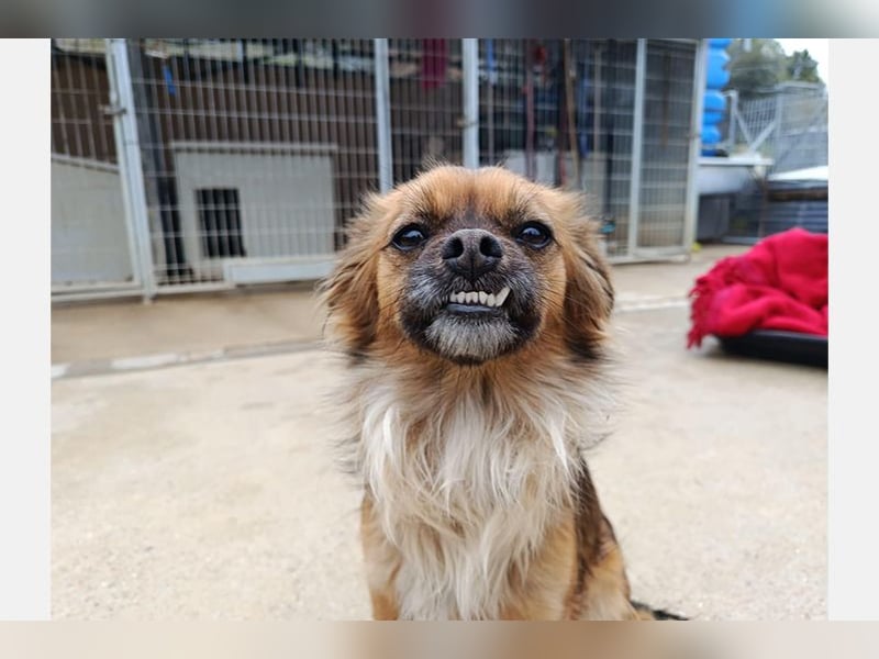 Zuri (LR) eine kleine Herzensbrecherin