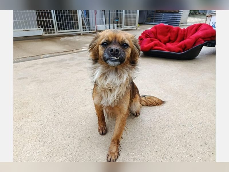 Zuri (LR) eine kleine Herzensbrecherin