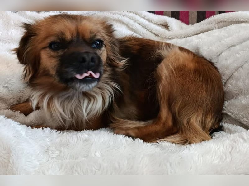 Zuri (LR) eine kleine Herzensbrecherin