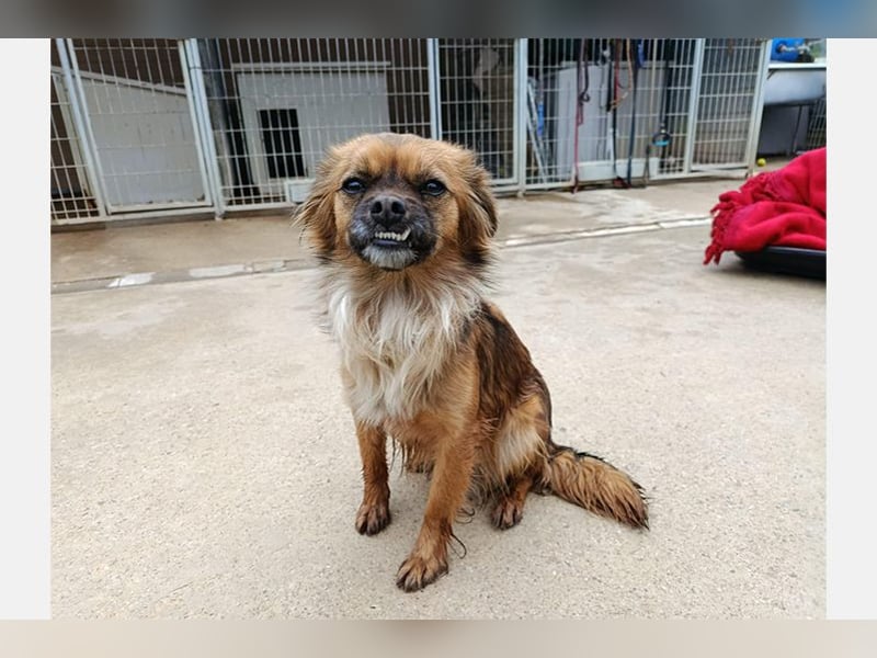 Zuri (LR) eine kleine Herzensbrecherin