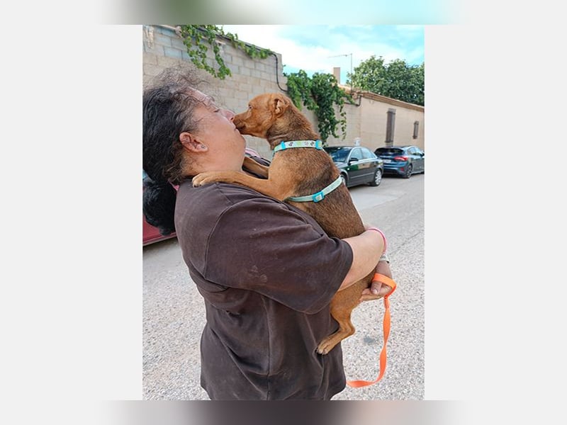 Siena (LR) kleine süße Herzensbrecherin