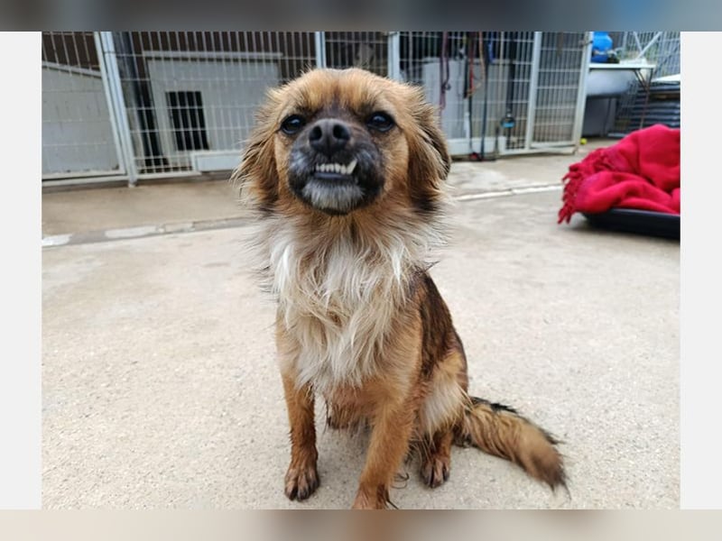 Zuri (LR) eine kleine Herzensbrecherin