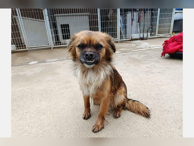 Zuri (LR) eine kleine Herzensbrecherin