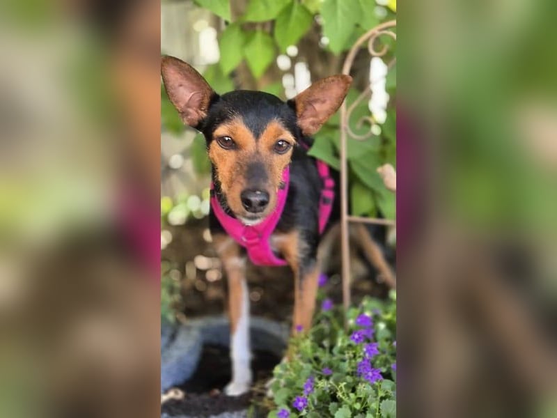 Heidi sucht ihre Herzensmenschen