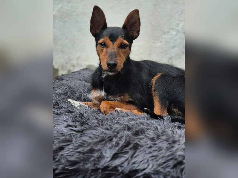 Heidi sucht ihre Herzensmenschen