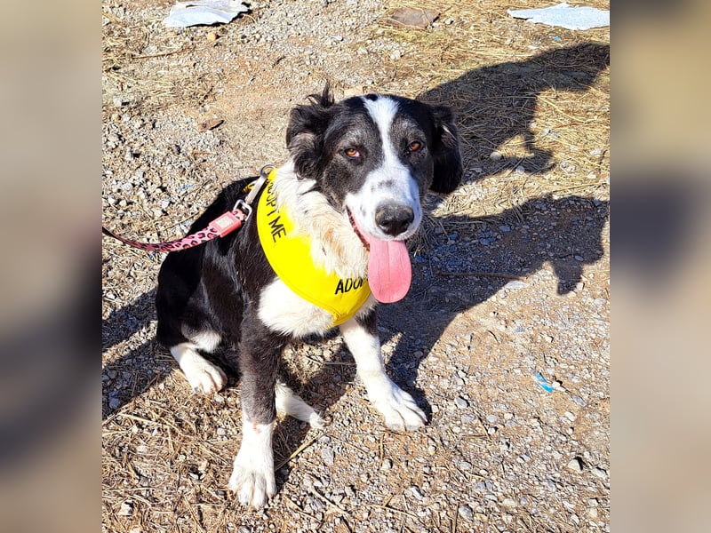  LOVEY – Ein fröhliches Lächeln wartet auf dich! 