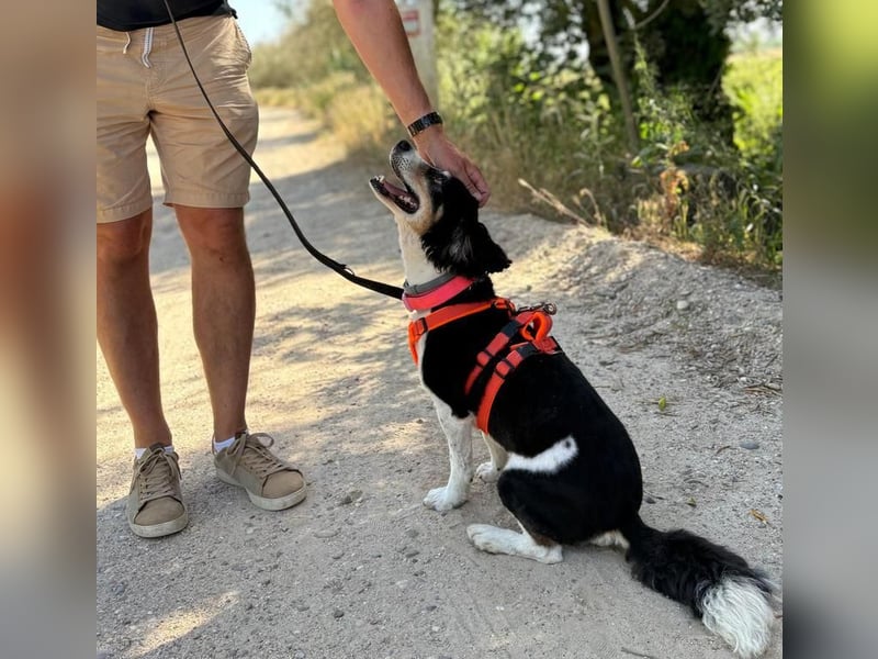 Cholda, der ruhige