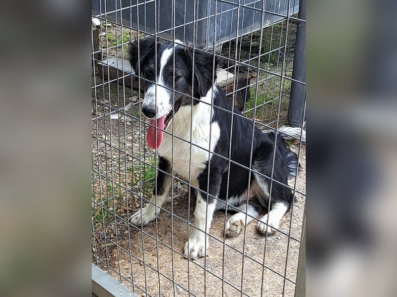  LOVEY – Ein fröhliches Lächeln wartet auf dich! 