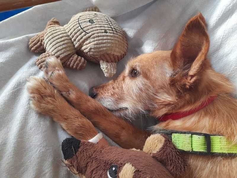 Brian ist noch etwas ängstlich