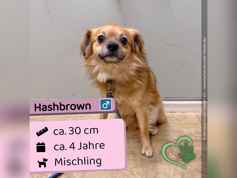 Hashbrown