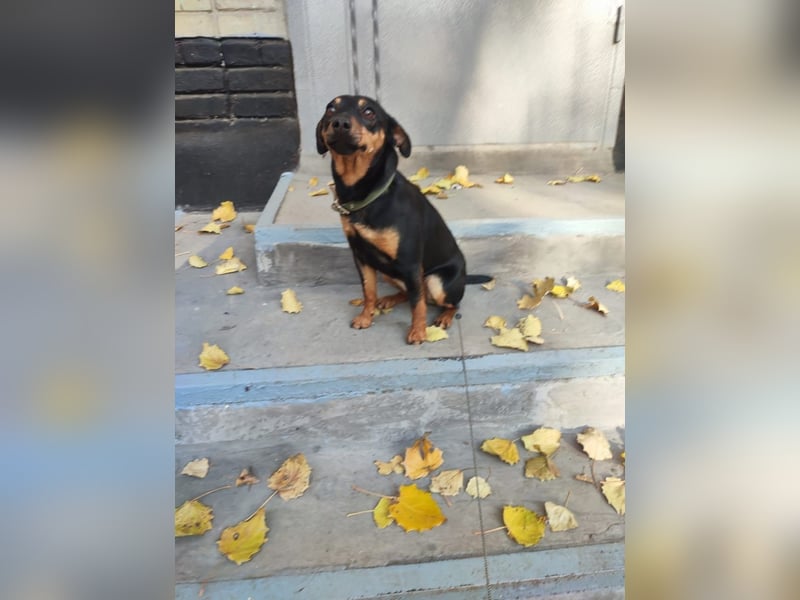 Candy *geb. 08/2024 – ein zärtliches kleines Mädchen sucht ein Herz, das sie halten möchte