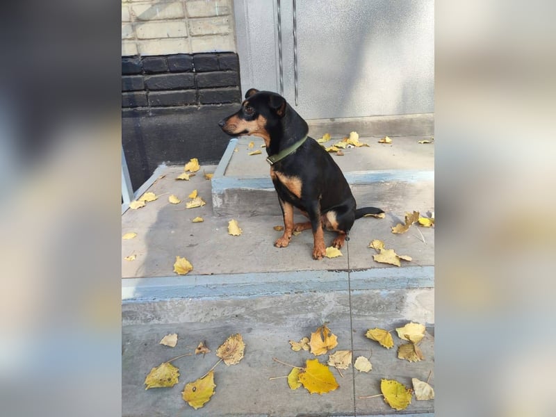 Candy *geb. 08/2024 – ein zärtliches kleines Mädchen sucht ein Herz, das sie halten möchte