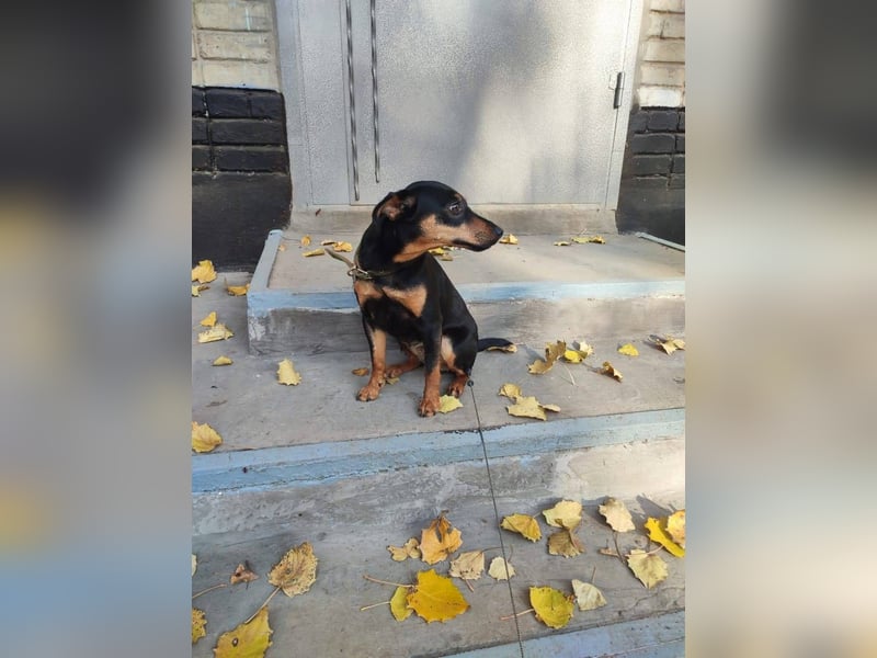 Candy *geb. 08/2024 – ein zärtliches kleines Mädchen sucht ein Herz, das sie halten möchte