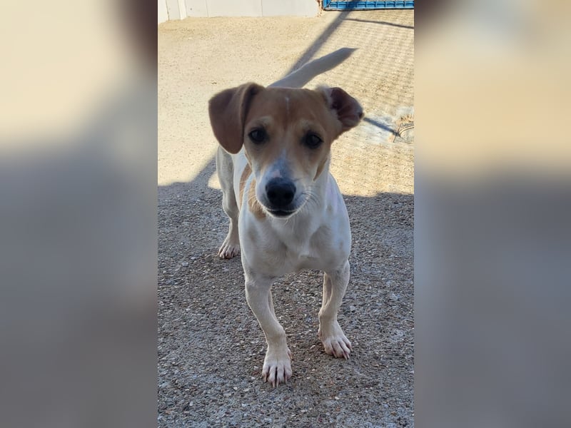 CHUPA ❤️ kleiner Schatz, Pflegefamilie Immenhausen