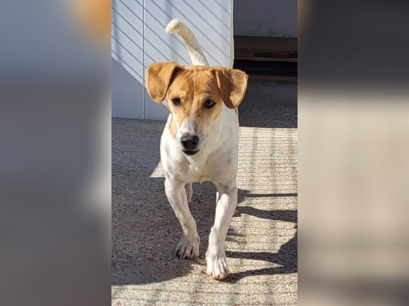 CHUPA ❤️ kleiner Schatz, Pflegefamilie Immenhausen