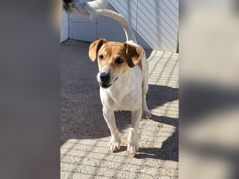 CHUPA ❤️ kleiner Schatz, Pflegefamilie Immenhausen