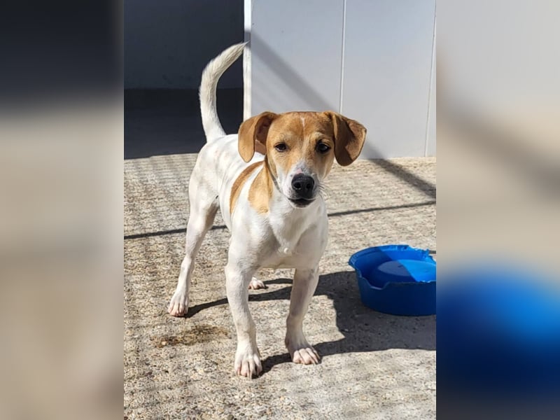 CHUPA ❤️ kleiner Schatz, Pflegefamilie Immenhausen