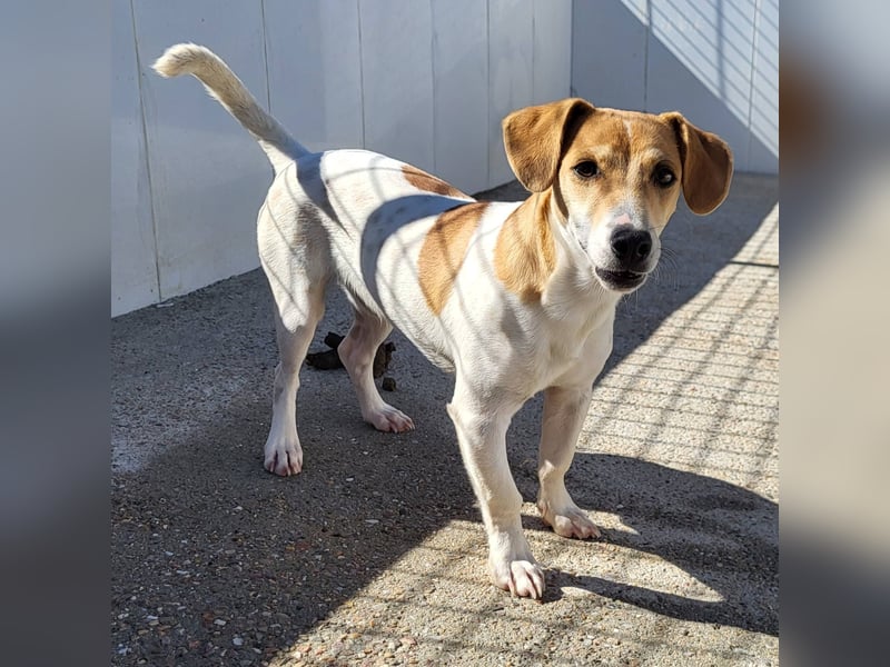 CHUPA ❤️ kleiner Schatz, Pflegefamilie Immenhausen