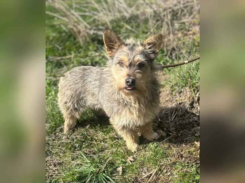 SUNNY wartet in 35329