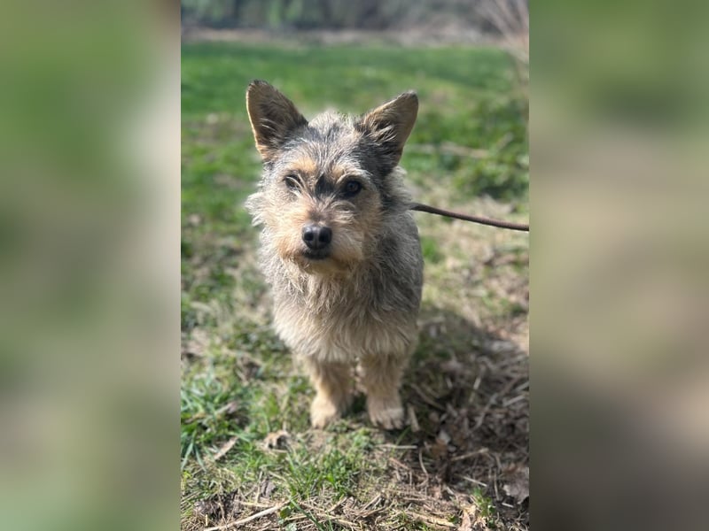 SUNNY wartet in 35329