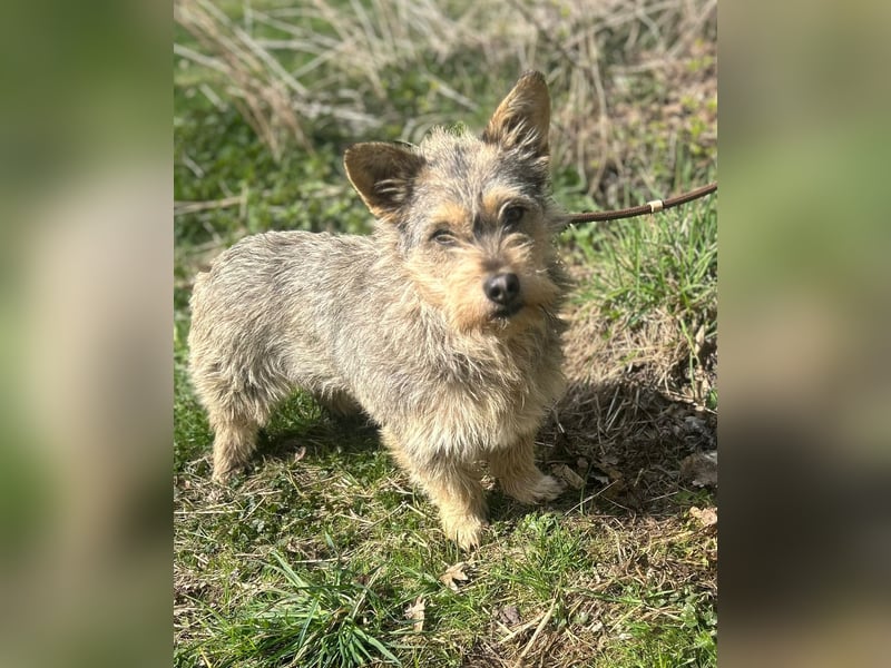 SUNNY wartet in 35329