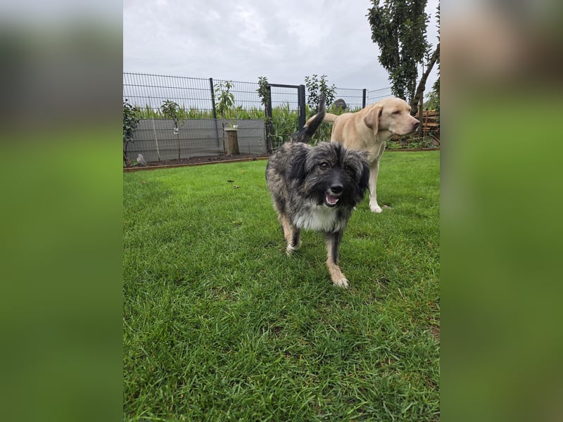 LILA ❤️ ein Engel, Pflegefamilie Kevelaer