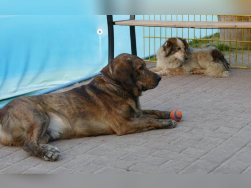 Die kleine Minna sucht ein liebevolles Zuhause