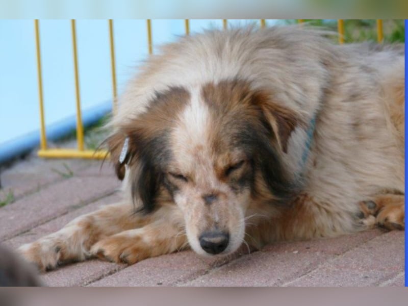 Die kleine Minna sucht ein liebevolles Zuhause