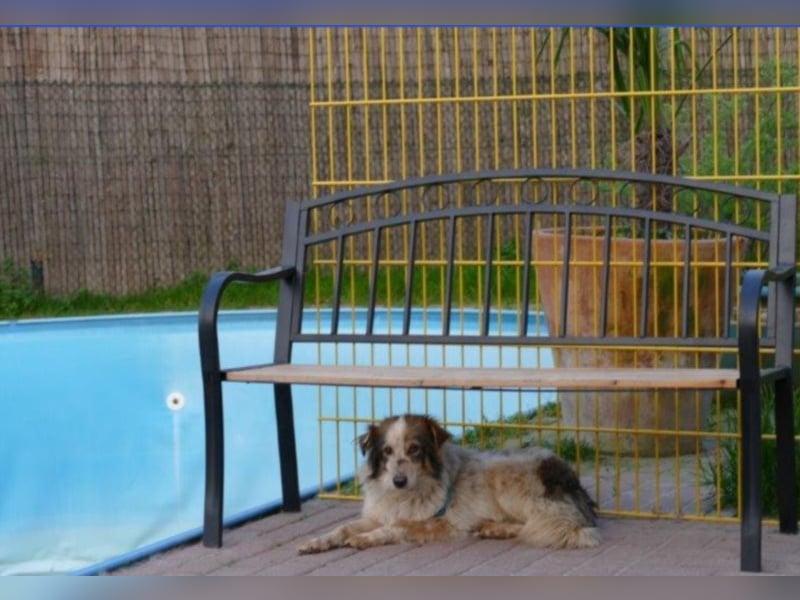 Die kleine Minna sucht ein liebevolles Zuhause