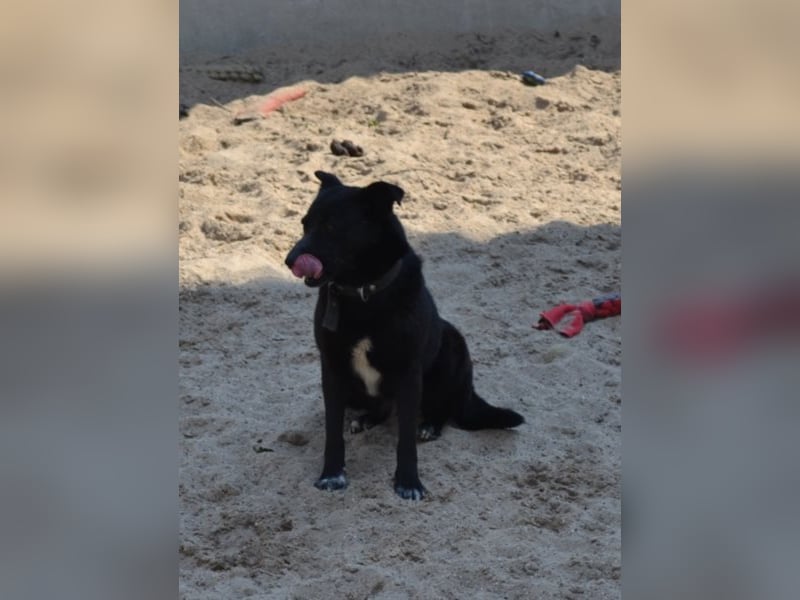 Lizzy - schüchtern, aber neugierig