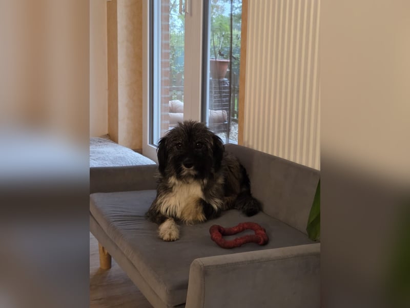 LILA ❤️ ein Engel, Pflegefamilie Kevelaer