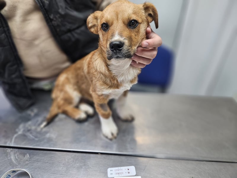 EGUN sucht ein Zuhause