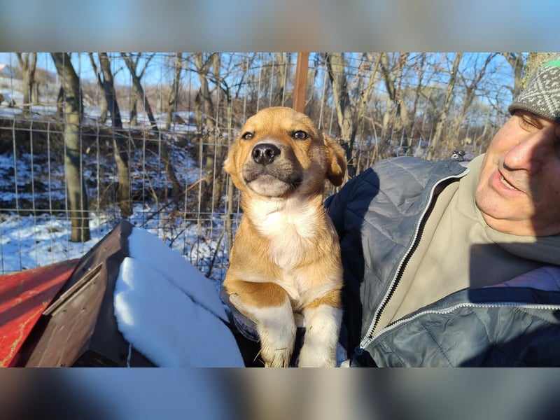 EGUN sucht ein Zuhause