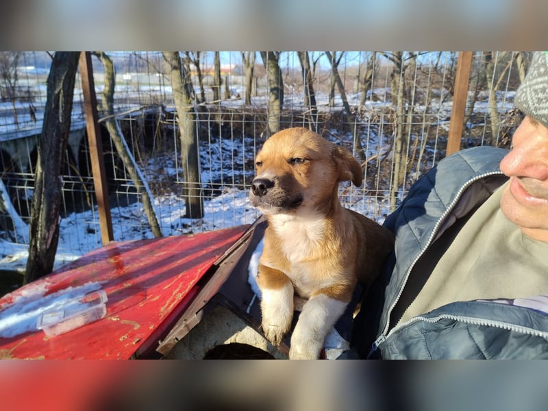 EGUN sucht ein Zuhause